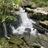 Buggytop Trail to Lost Cove Cave, Tennessee - 681 Reviews, Map | AllTrails