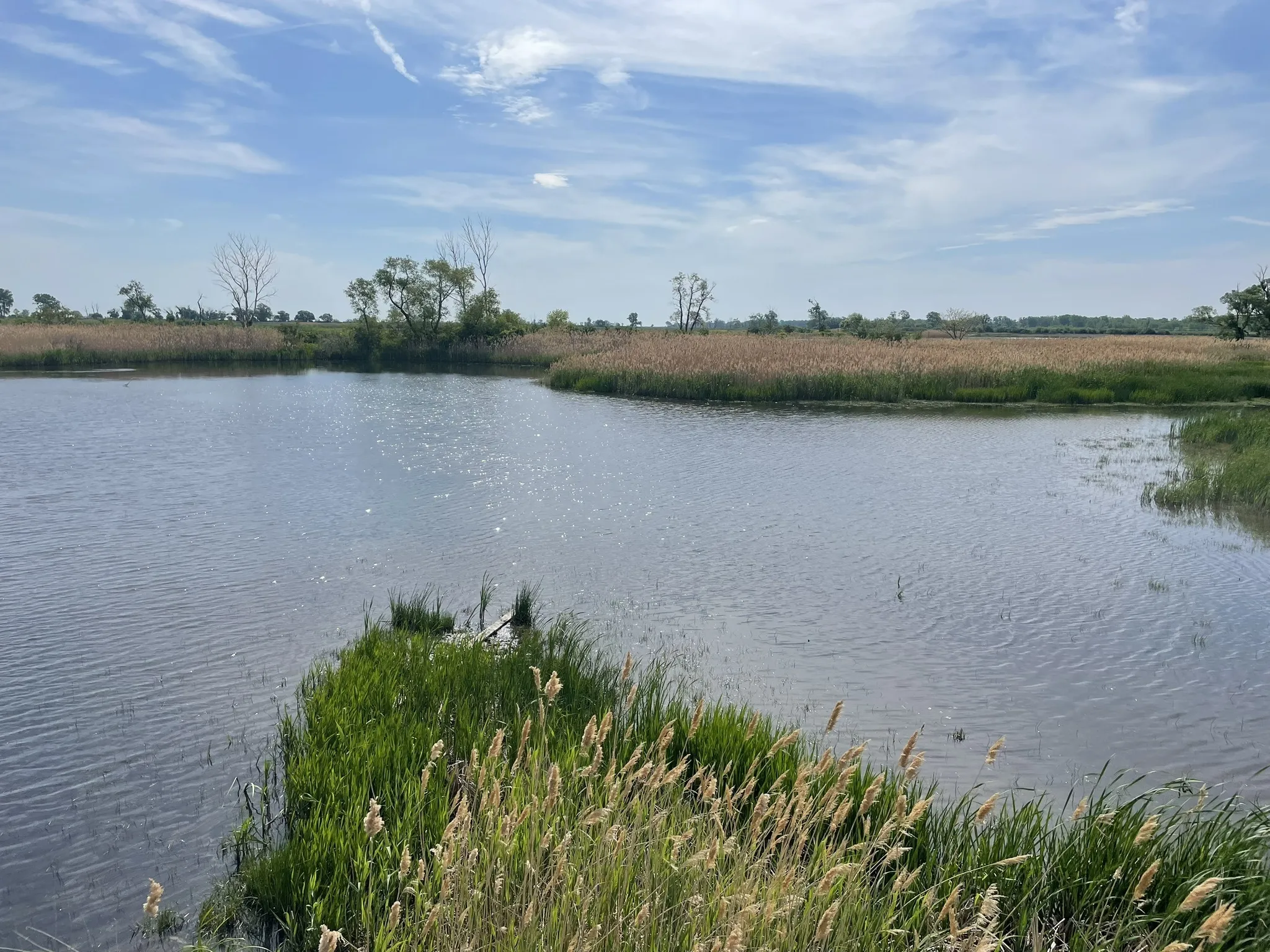 Photo of a trail from Edward Silva with title Maumee Bay Boardwalk Trail
