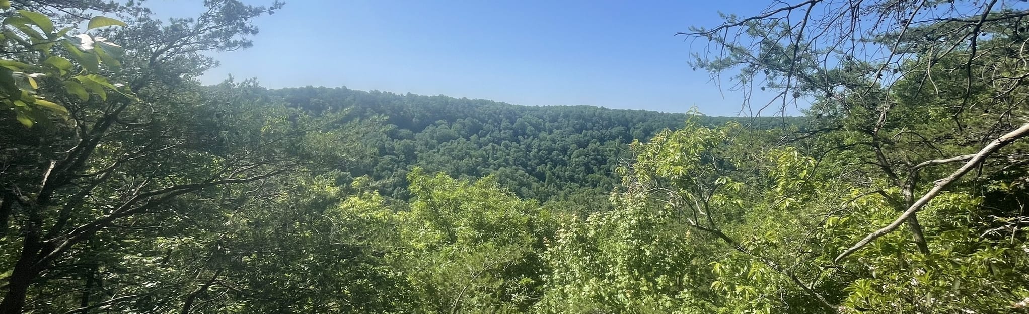 Foster Falls Climbers Loop Trail, Tennessee 1,633 Reviews, Map AllTrails