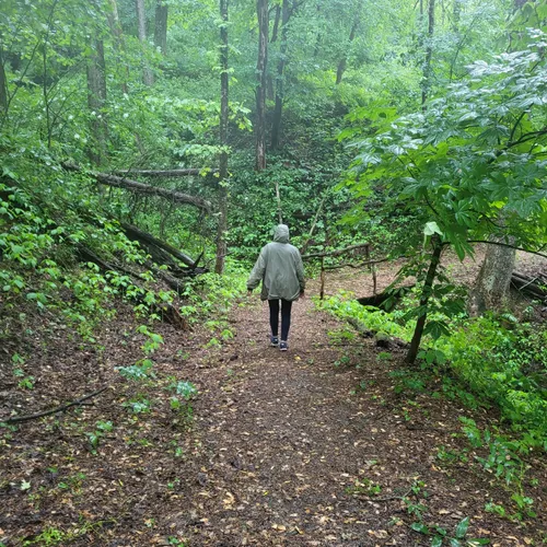 2023 Best Views Trails in Spruce Pine AllTrails