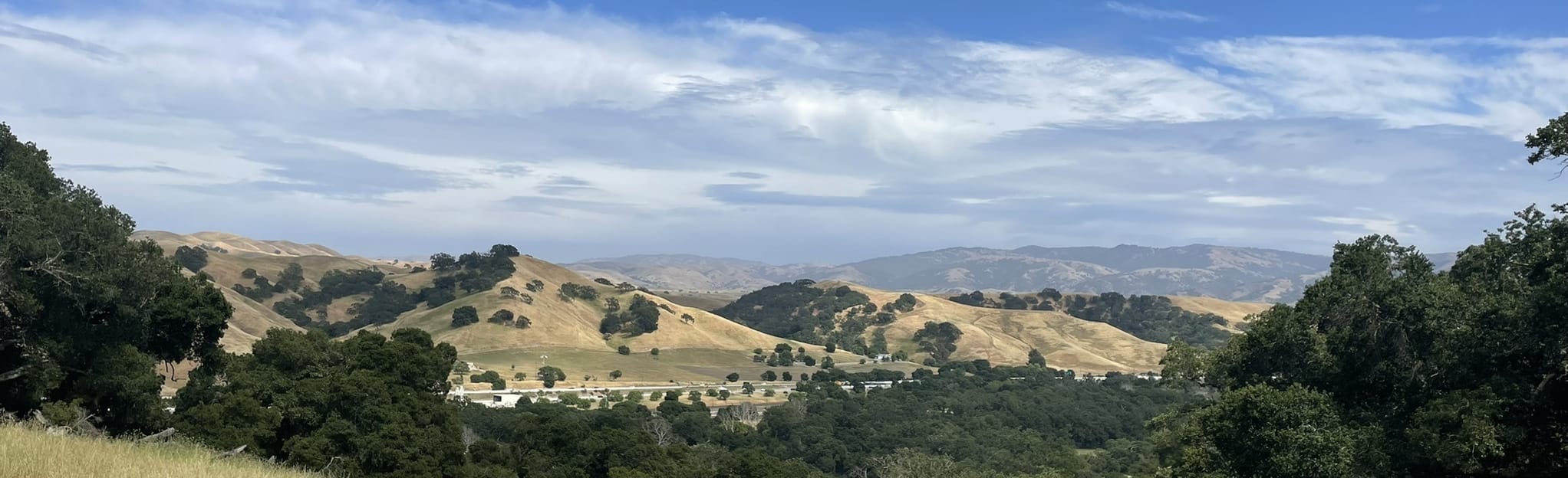 Oak Tree Woodland Loop, California 1,876 Reviews, Map AllTrails