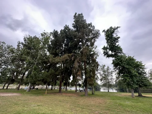 2023-best-wild-flowers-trails-in-south-el-monte-alltrails