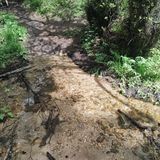 2023 Dry Creek-Shingle Creek - Idaho Trails Association
