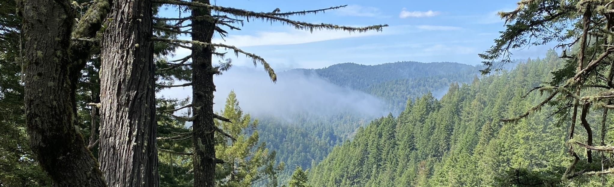 Lost Coast, Wheeler, Hotel Glutch Trails Loop 211 foto California