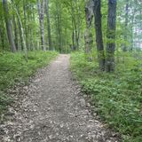 Bloodroot Trail, Indiana - 556 Reviews, Map | AllTrails