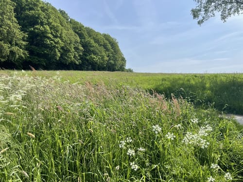 Laaken zur Herbringhauser Talsperre