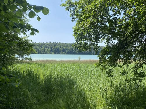 Rund um den Mindelsee