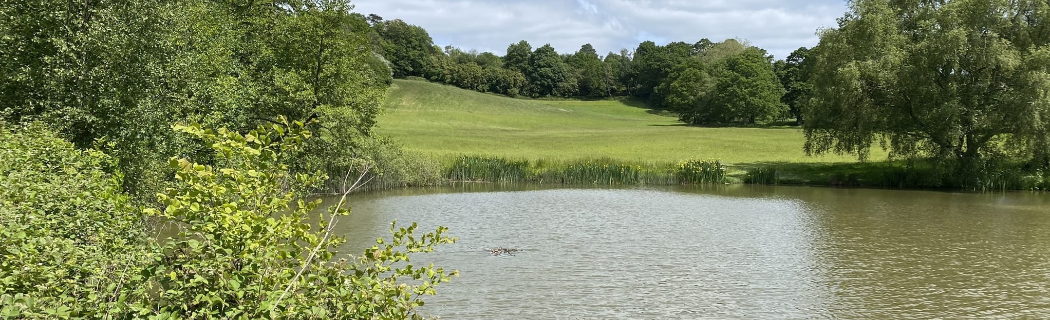 The Bolney Stage and Wykehurst Park Circular 249 foton West Sussex
