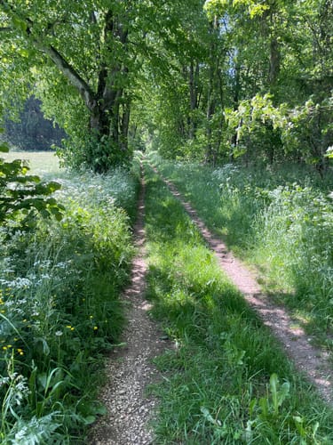 Über Wollenfels und Geißberg
