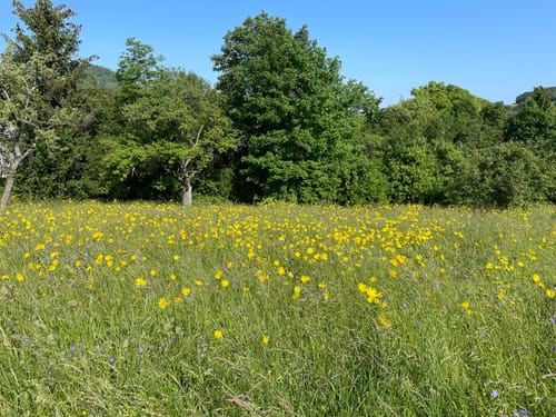 Über Wollenfels und Geißberg
