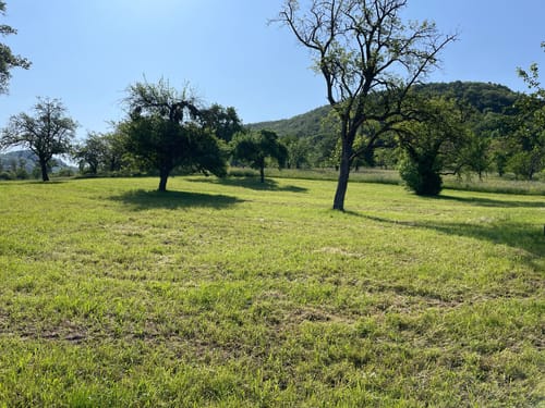 Über Wollenfels und Geißberg