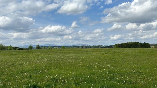 Bergwiesen-Lehrpfad Benneckenstein