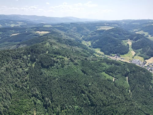 Wald- und Erlebnispfad "Bächlewald"