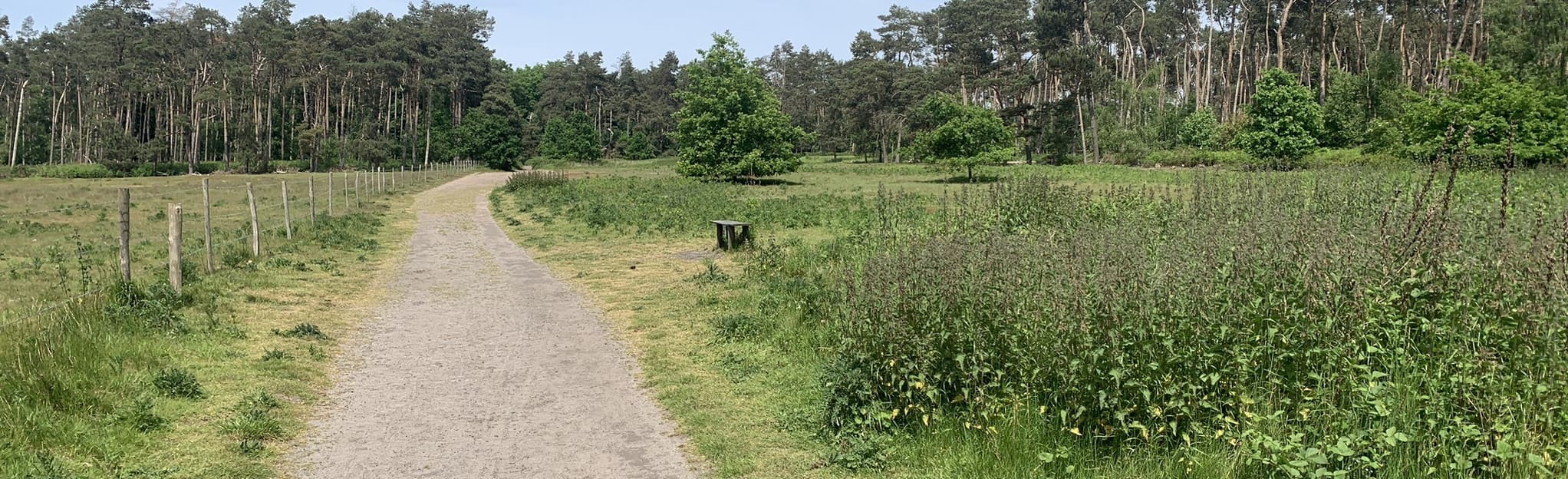 Heidebos Korte Wandeling : 44 foto's - Oost-Vlaanderen, België ...