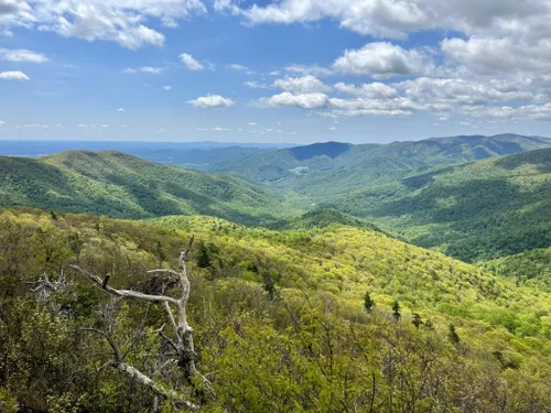 Old Rag Mountain via Weakley Hollow Fire Road, Virginia - 443 Reviews, Map