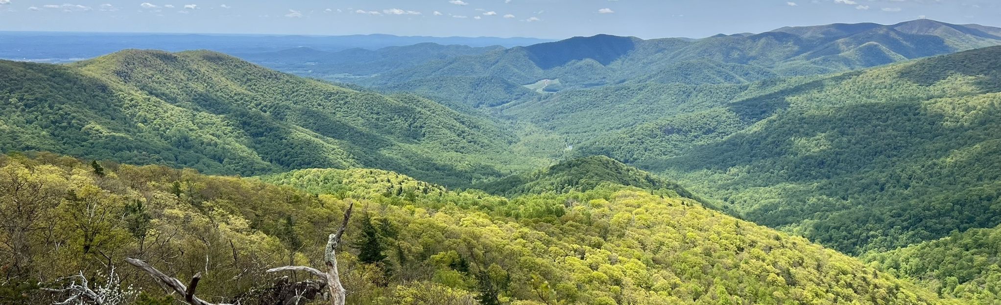 Robertson Mountain Loop via Weakley Hollow Fire Road and Old Rag Fire ...