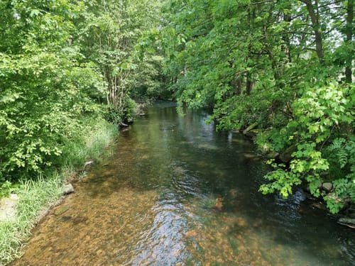 Am Brend in den Burgwallbacher Forst