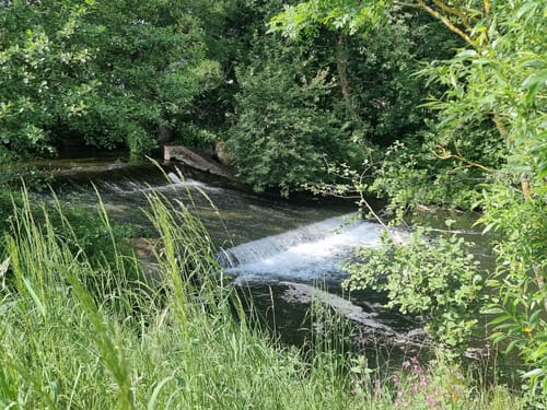 Am Brend in den Burgwallbacher Forst