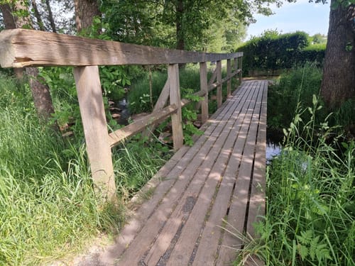 Am Brend in den Burgwallbacher Forst