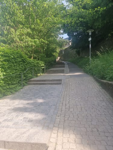 Am Brend in den Burgwallbacher Forst