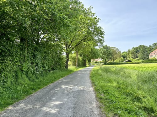 Jedermann 65 km