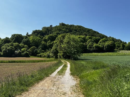 Velburg - Ratzenberg - Osterberg