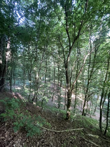 Runde um den Buchberg