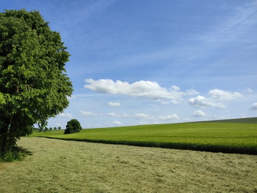 Alter Pilgerweg