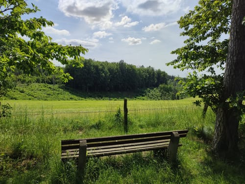 Alter Pilgerweg