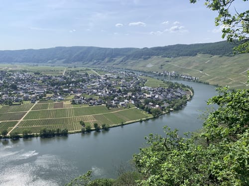 Mosel Radweg Etappe 5: Piesport - Bernkastel-Kues
