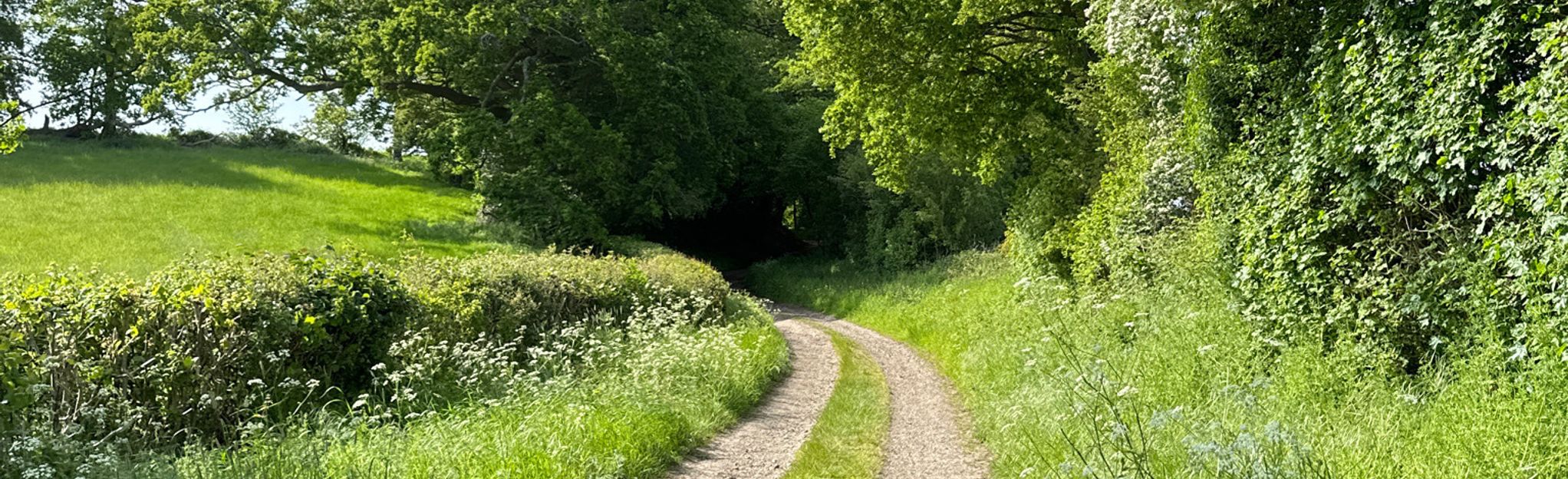 Watlington Hill Circular Walk: 145 foto's - Oxfordshire, Engeland ...