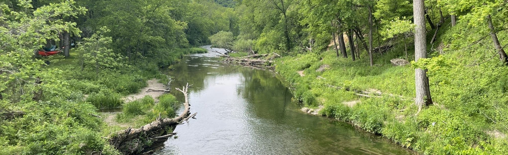 Whitewater State Park Dakota Trails Loop, Minnesota 973 Reviews, Map AllTrails