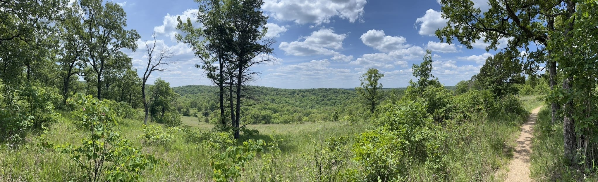 Turkey Pen Hollow Trail 912 Reviews, Map Missouri AllTrails