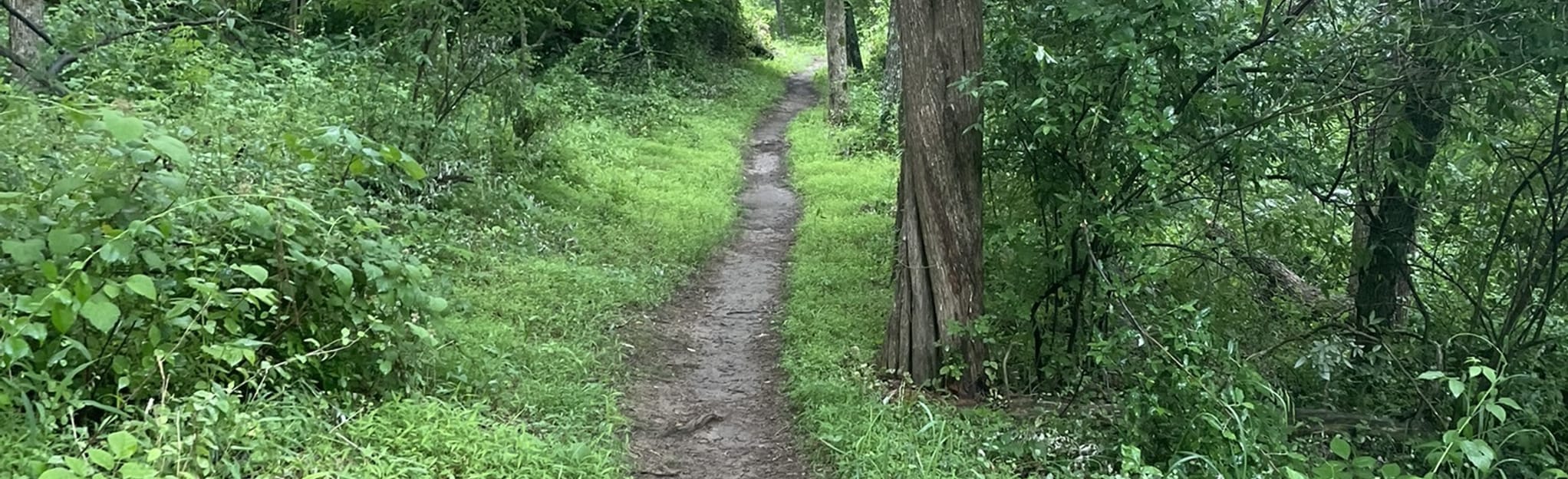 Muddy Branch Greenway Trail, Maryland 286 Reviews, Map AllTrails