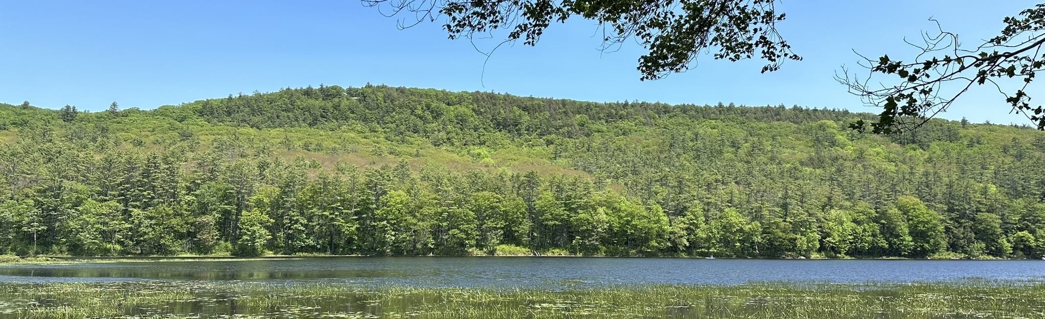 Tully Lake Long Pond Loop, Massachusetts 179 Reviews, Map AllTrails