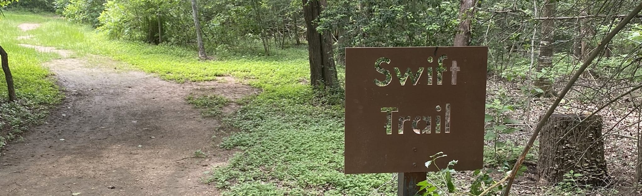 Lake Bastrop South Shore Park Trail, Texas 8 Reviews, Map AllTrails