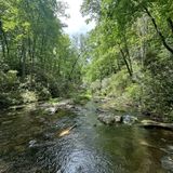 Paradise Falls, North Carolina - 339 Reviews, Map | AllTrails