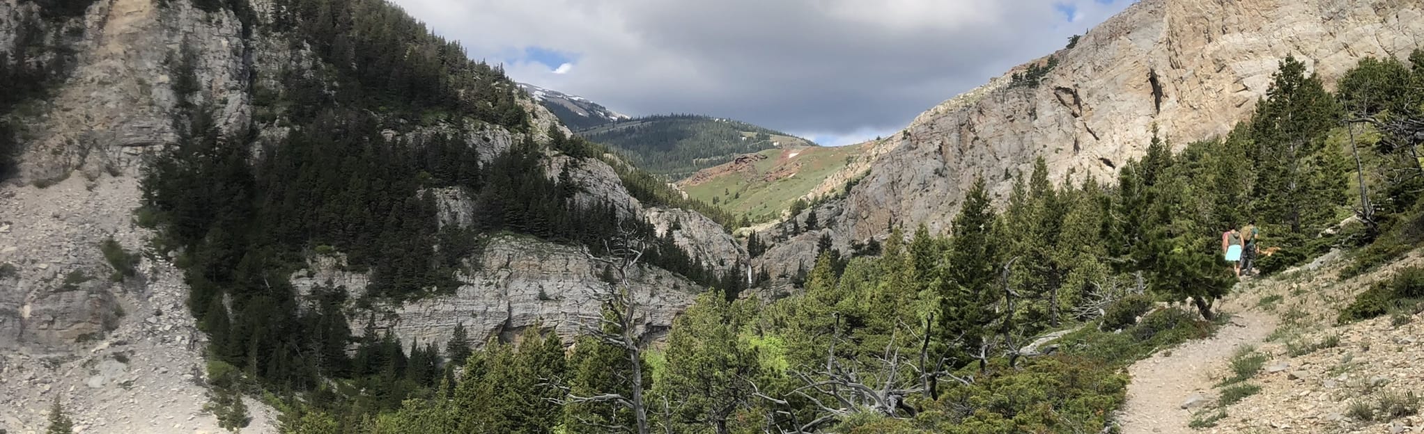 Willow Creek Falls 51 Reviews, Map Montana AllTrails