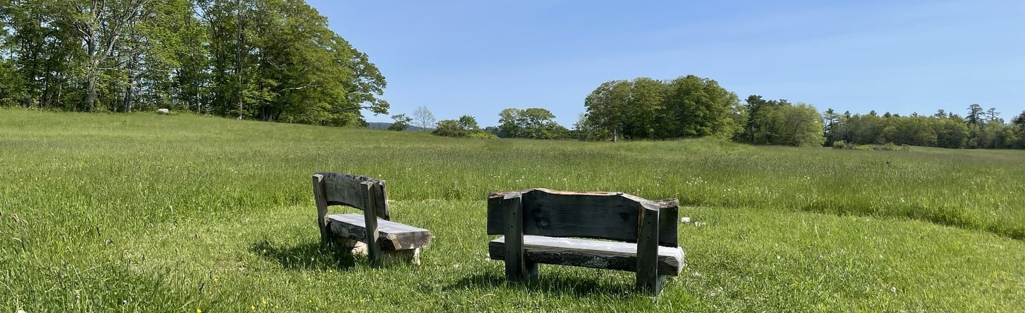 Woodward Point Preserve Trail, Maine 9 Reviews, Map AllTrails