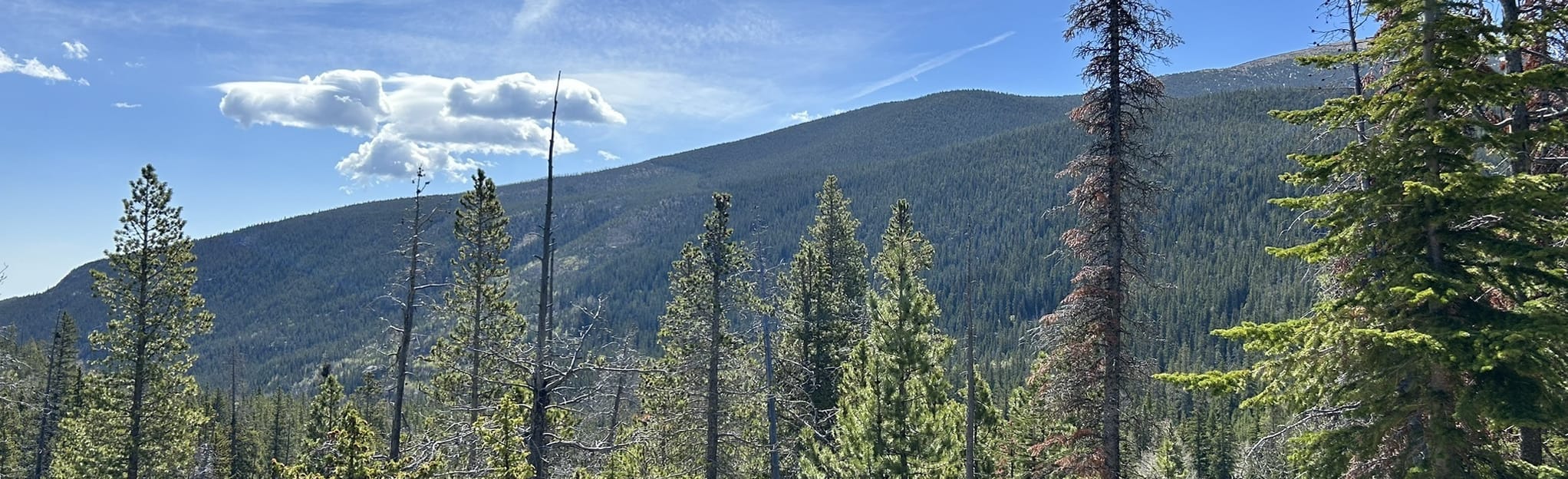 Calypso Cascades and Ouzel Falls via Allenspark Trail, Colorado 152