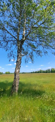 Schnuckenweg