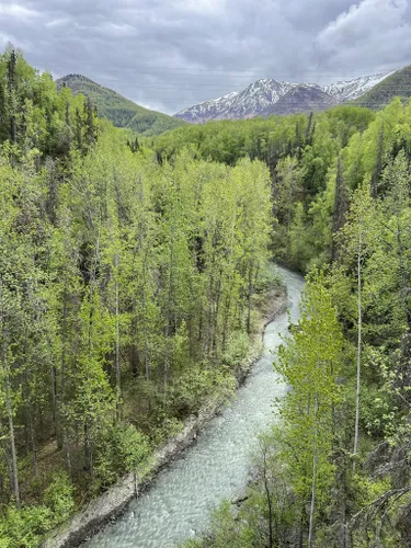 Alaska: Bedste skovruter | AllTrails