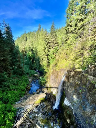 Best hikes in shop siuslaw national forest