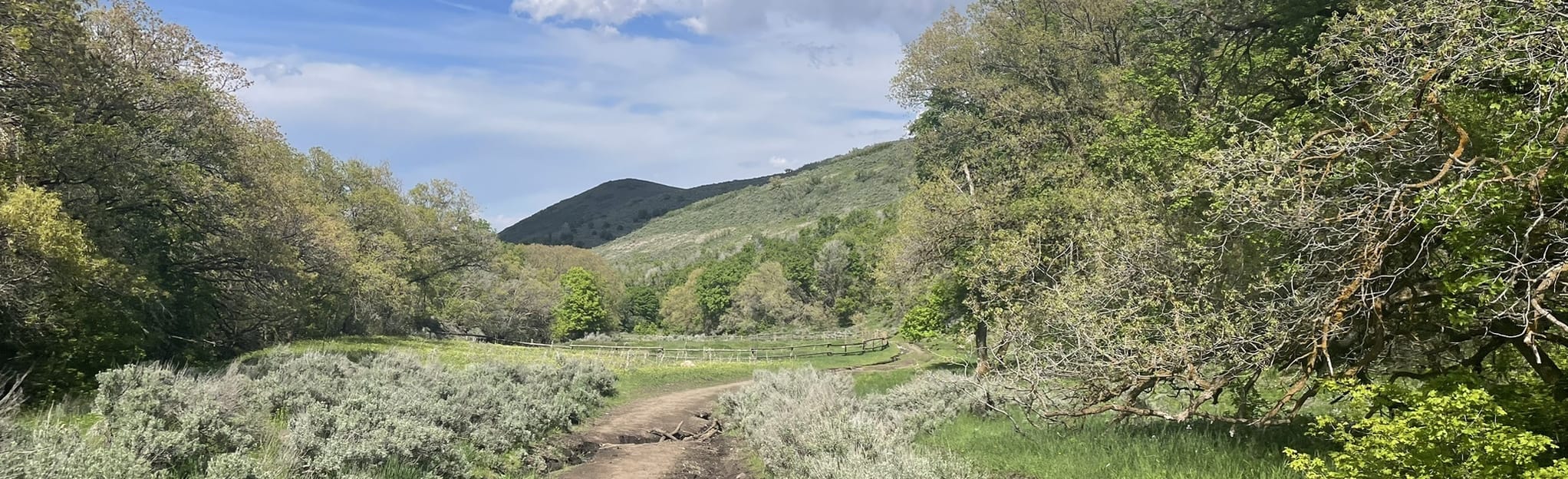 Rose Canyon Spring Trail, Utah - 260 Reviews, Map | AllTrails