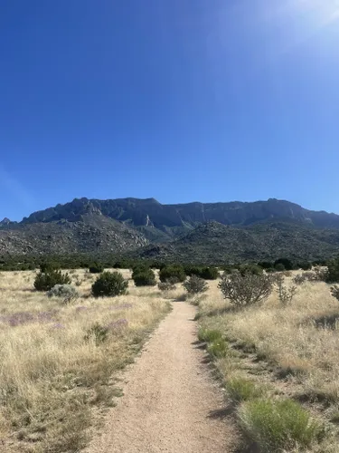 Domingo Baca Trail, Sandia Mountain