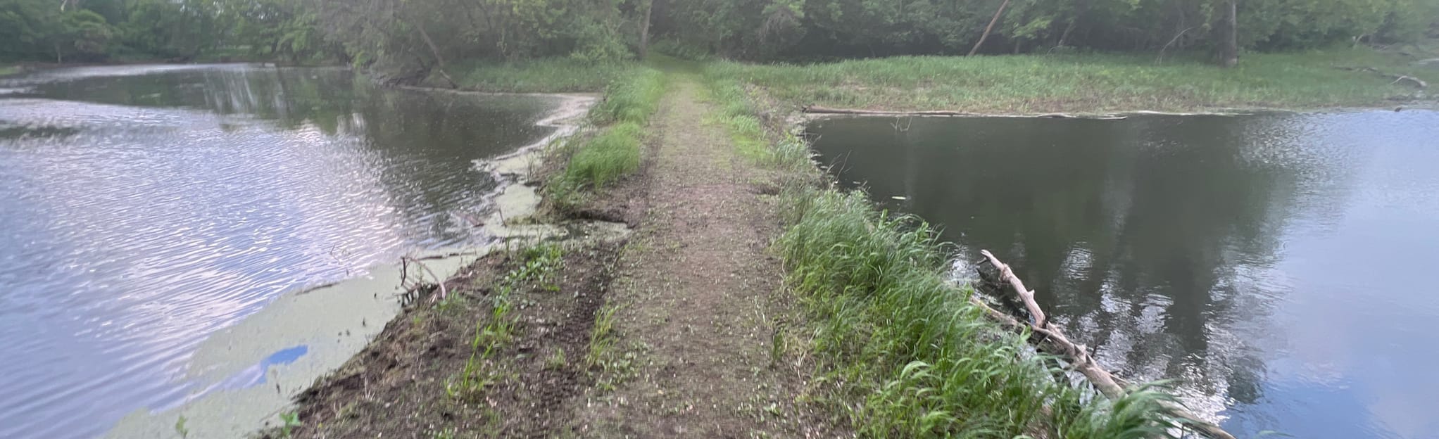 Lac Qui Parle Hiking Club Trail, Minnesota 73 Reviews, Map AllTrails