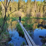 Angleworm Lake Trail, Minnesota 108 Reviews, Map AllTrails