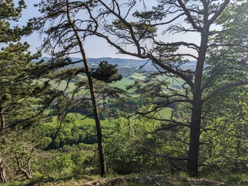 Über den Großen Hörselberg und zur Venushöhle