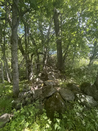 Best Hikes and Trails in naturreservat AllTrails