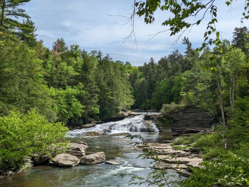 swallow falls